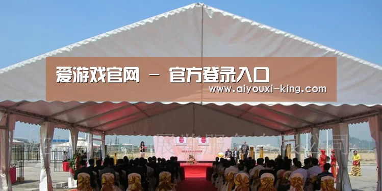 案例标题三(图1)