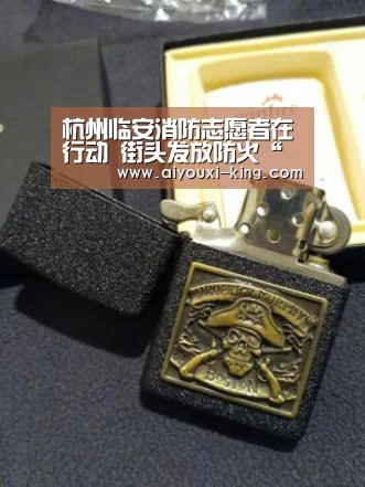 杭州临安消防志愿者在行动 街头发放防火“说明书”【爱游戏登录入口】(图3) 爱游戏官网