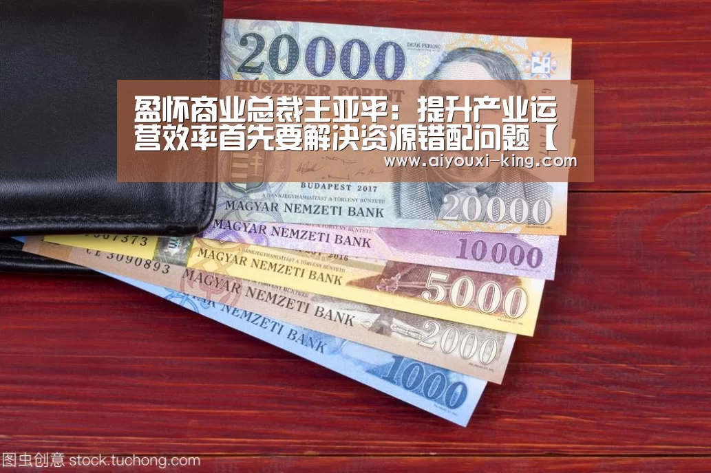 盈怀商业总裁王亚平:提升产业运营效率首先要解决资源错配问题【爱游戏官网】