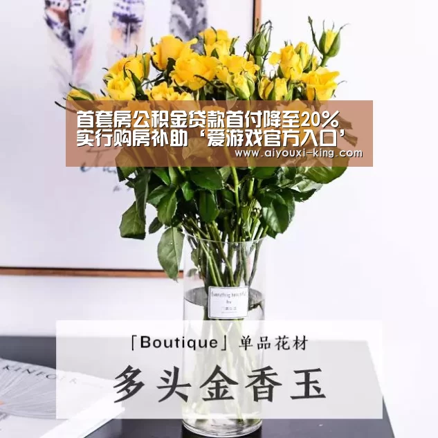 首套房公积金贷款首付降至20% 实行购房补助‘爱游戏官方入口’(图2) 爱游戏官网