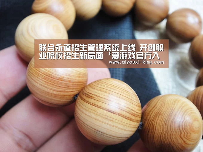 联合永道招生管理系统上线 开创职业院校招生新局面‘爱游戏官方入口’(图3) 爱游戏APP下载